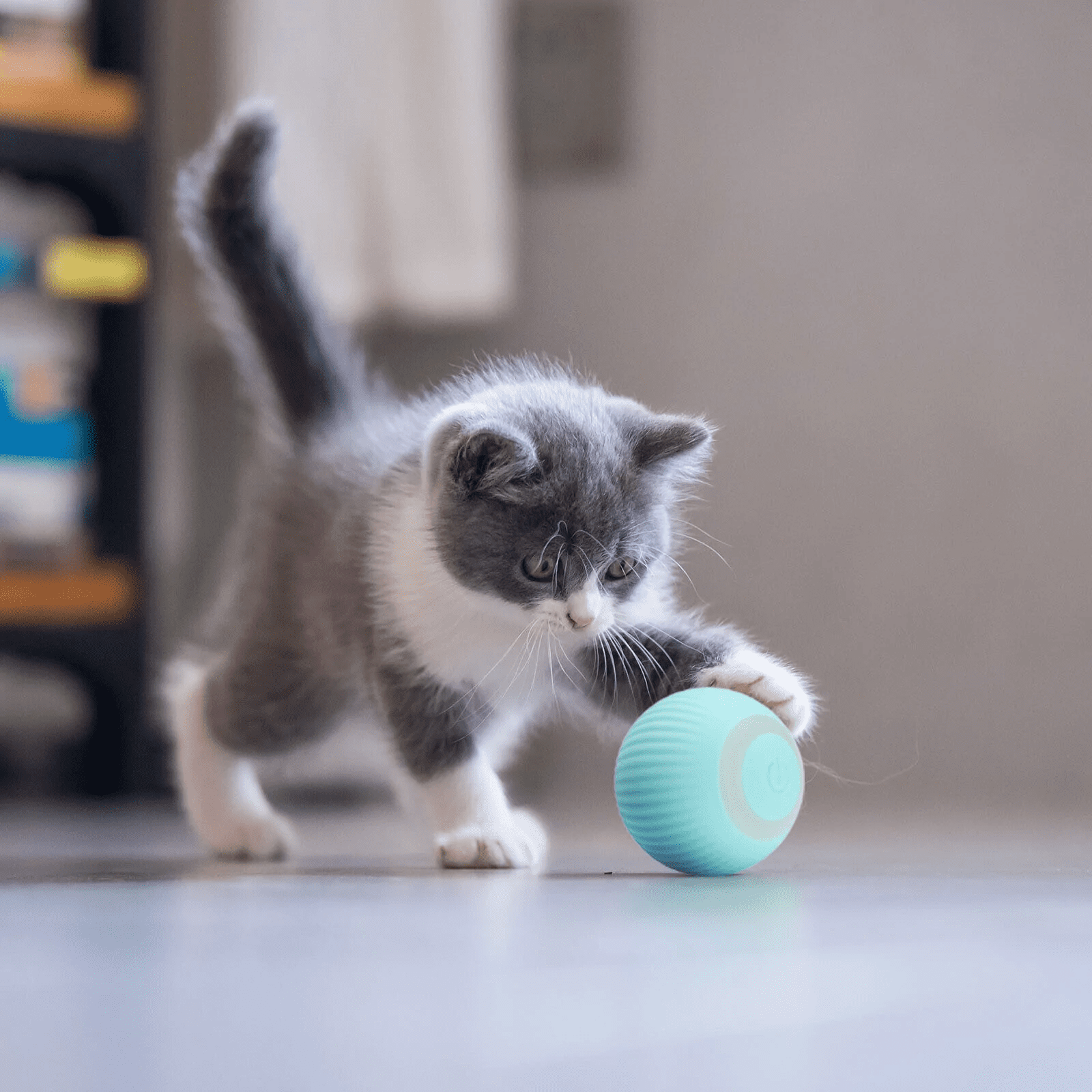 Brinquedo do gato bola interativa do gato do animal de estimação bola 360  graus de giro com sons animais formação auto-movente gatinho brinquedos  para