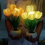 tulipas, ambiente, jardim, LED, versátil, luminária, decoraçao, diversas ocasiões, eficiente, econômica, aconchegante, acolhedor, tulipa rosa, tulipa branca, tulipa laranja, funcionalidade, bateria, USB, charmosa